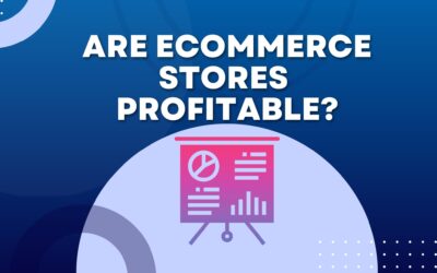 Are Ecommerce Stores Profitable To Grow Your Online Business?