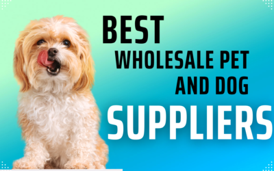 From Paws to Profit: Exploring the Best Wholesale Pet and Dog Suppliers for Your eCommerce Store!